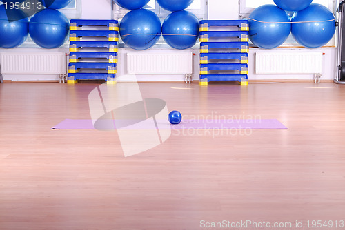 Image of .pilates ball in fitness club