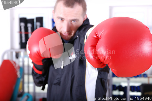 Image of .boxer