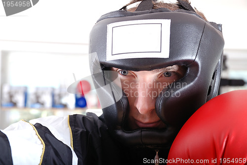 Image of .boxer face closeup