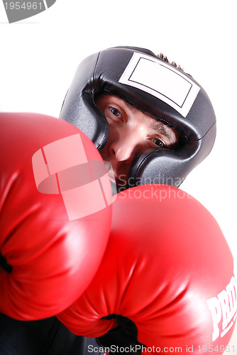 Image of .boxer face closeup