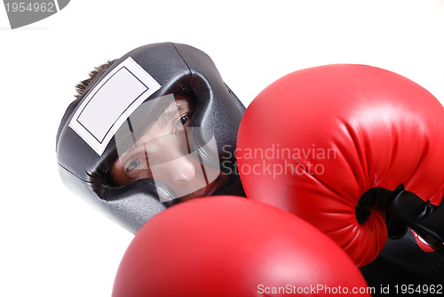 Image of .boxer face closeup