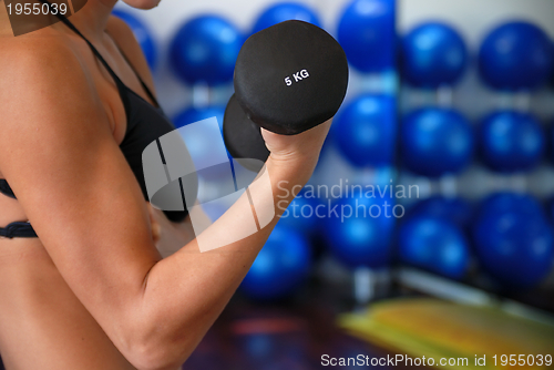 Image of woman doing exercise with dumbbell