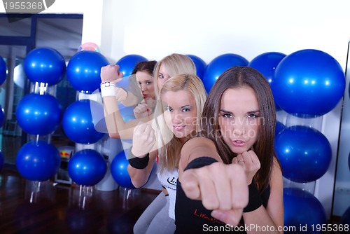 Image of fighter girls