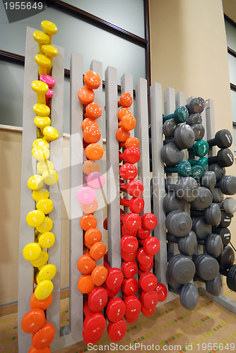 Image of dumbbells in fitness studio