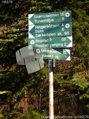 Image of From Nordmarka in Oslo in Norway