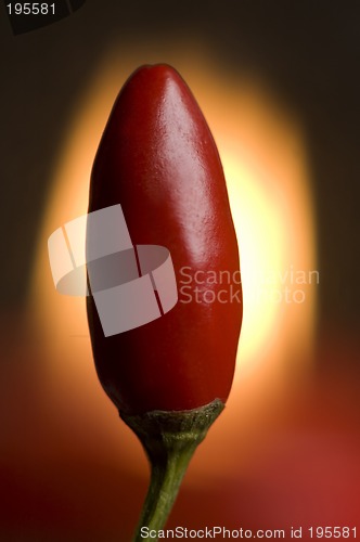 Image of chili