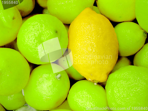 Image of special lemon