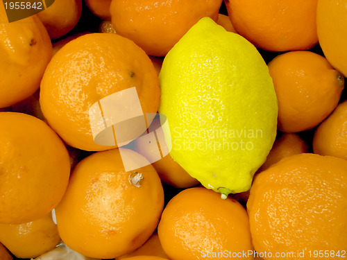 Image of special lemon