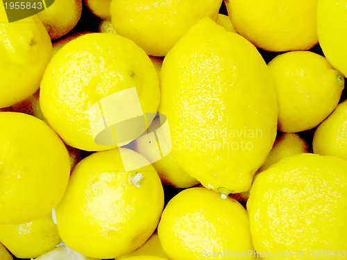 Image of special lemon