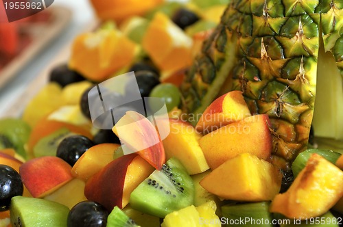 Image of Fruits
