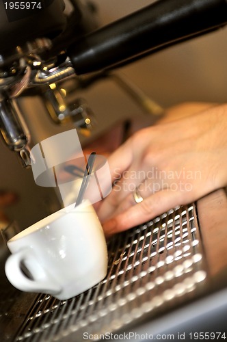 Image of Fresh coffee