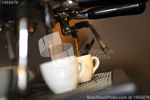 Image of Fresh coffee