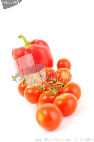 Image of tomato and paprika