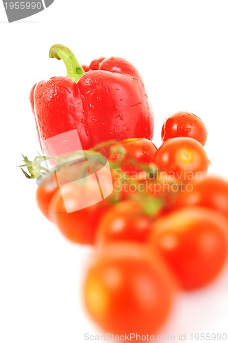 Image of tomato and paprika