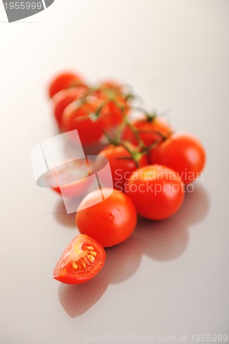 Image of tomato isolated tomato isolated