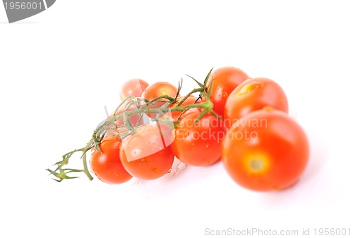 Image of tomato isolated 