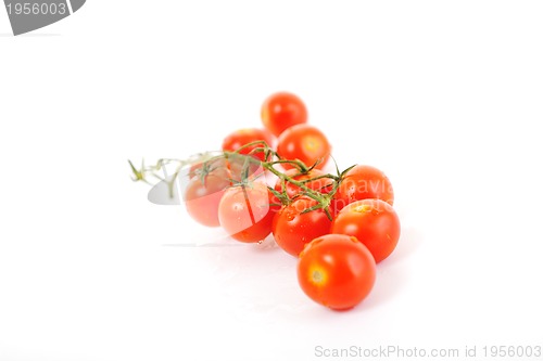 Image of tomato isolated 