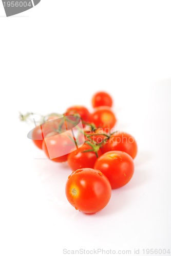 Image of tomato isolated 