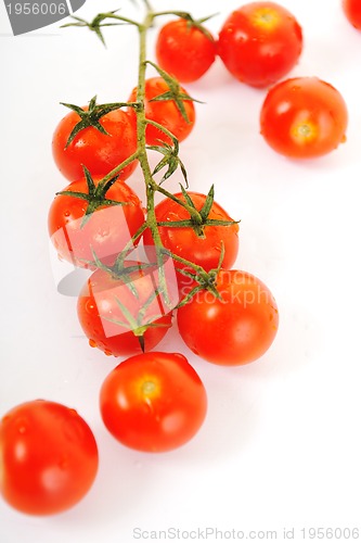 Image of tomato isolated 