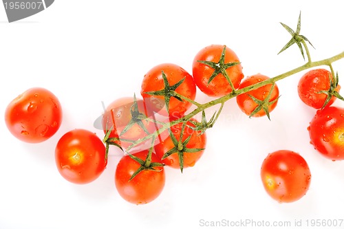 Image of tomato isolated 