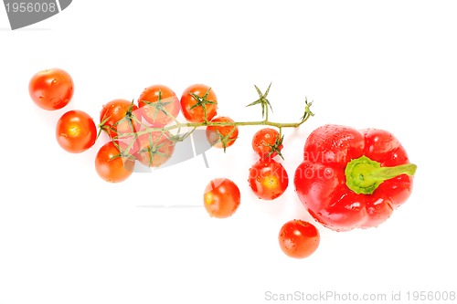 Image of tomato isolated 