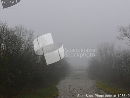 Image of Where's the river