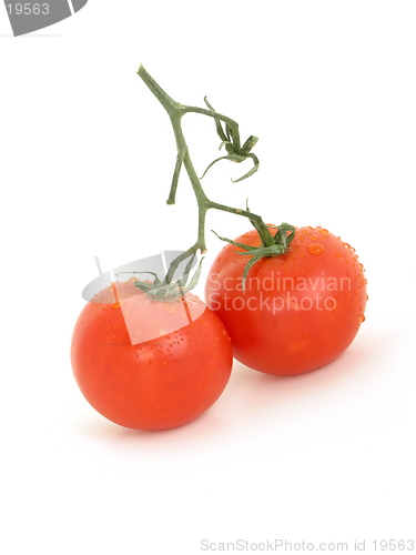 Image of Twin Tomatoes