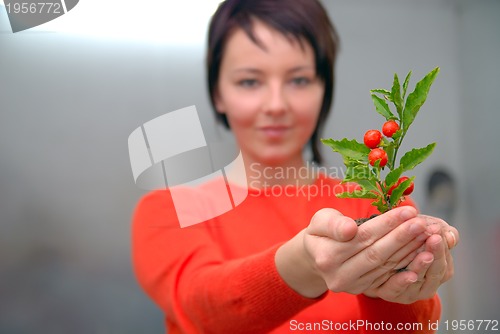 Image of Beautiful  girl holding young plant