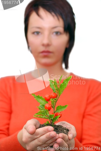 Image of Beautiful  girl holding young plant