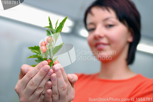 Image of Beautiful  girl holding young plant