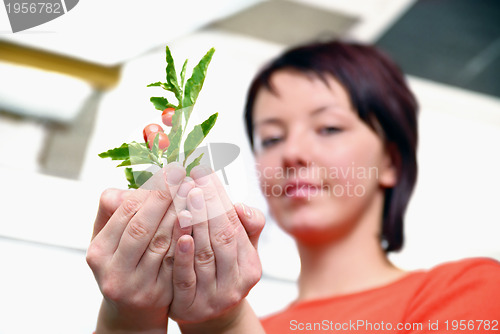 Image of Beautiful  girl holding young plant