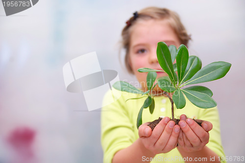 Image of little girl holding small plant