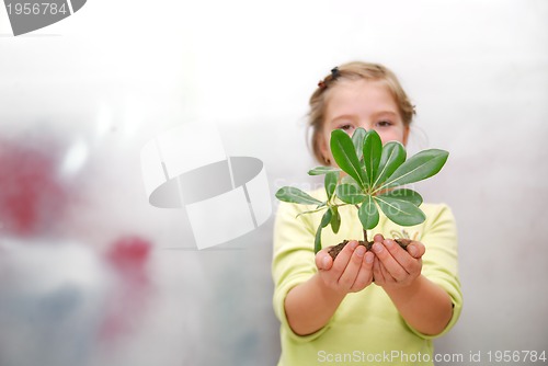 Image of little girl holding small plant