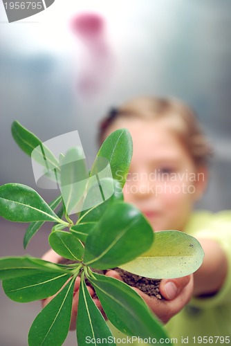 Image of little girl holding small plant