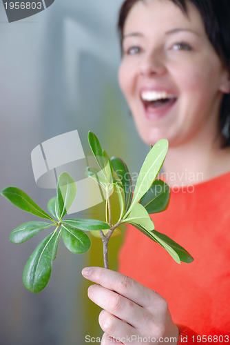 Image of Beautiful  girl holding young plant