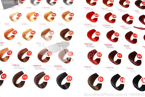 Image of hair colors sample