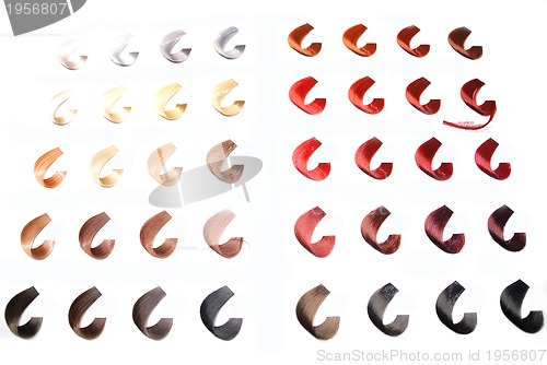 Image of hair colors sample