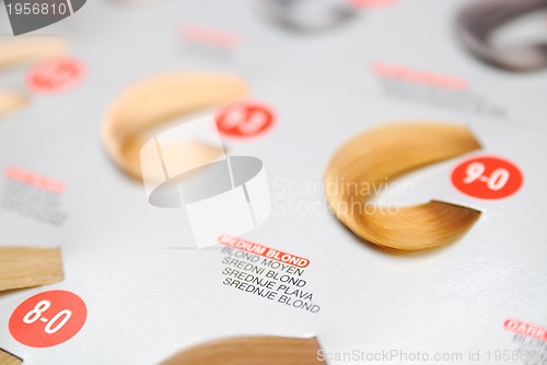 Image of hair colors sample