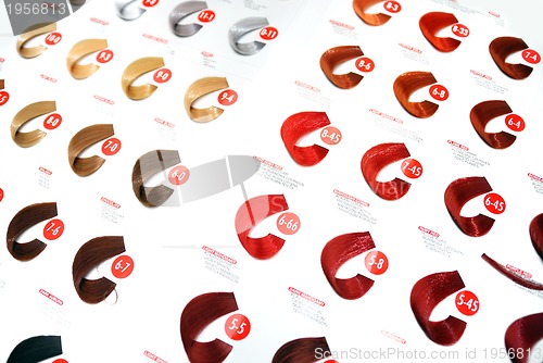 Image of hair colors sample