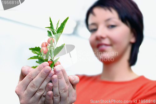 Image of Beautiful  girl holding young plant