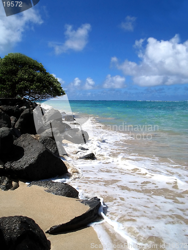 Image of Windward Shoreline