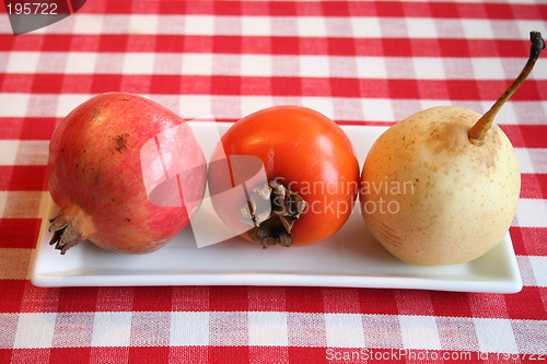 Image of Pomegranate,Persimmon and Nashi-pear