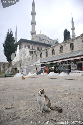 Image of turkey istambul mosque