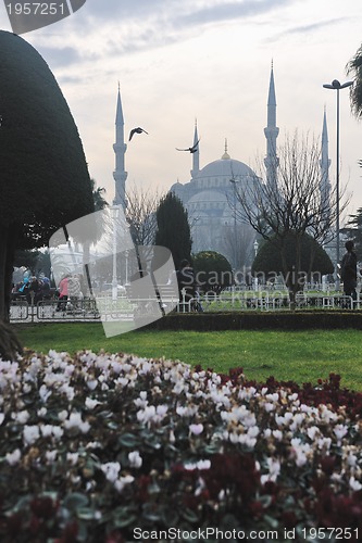 Image of turkey istambul mosque