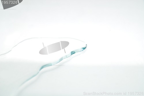 Image of .water on white background