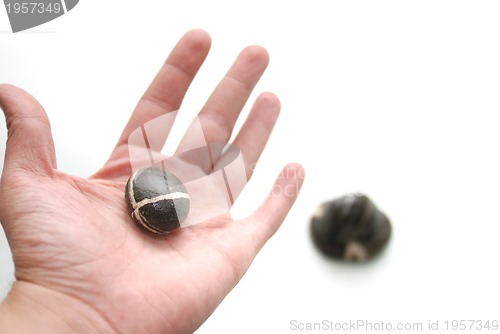 Image of .zen stones in palm 