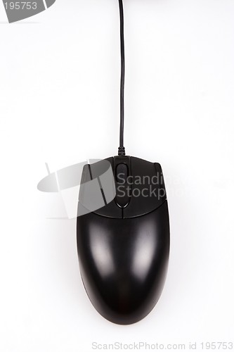 Image of Computer Mouse