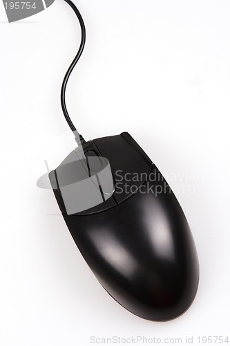 Image of Computer Mouse