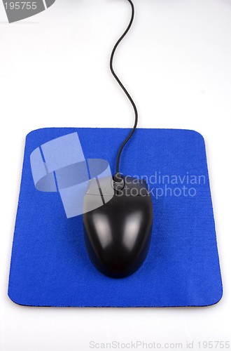 Image of Computer Mouse