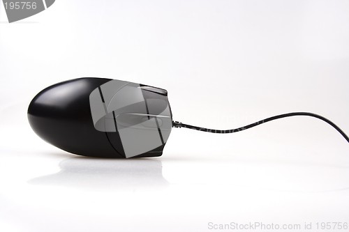 Image of Computer Mouse